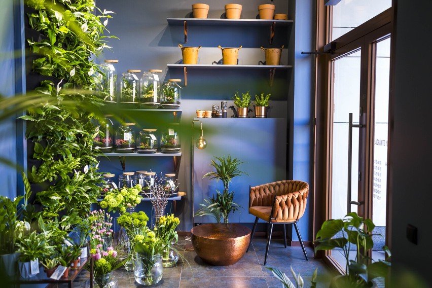 Zieleni się - studio zieleni kreatywnej i raj dla miłośników roślin