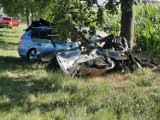 Kolejny wypadek na trasie Śrem-Kórnik (DW 434)! BMW rozbite na drzewie, jedna osoba poszkodowana [zdjęcia]