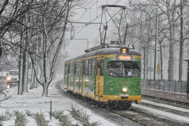 Zima w Poznaniu póki co tylko na zdjęciach