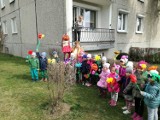 Maluchy z Miejskiego Przedszkola MINI w Nowej Rudzie-Słupcu powitały wiosnę!