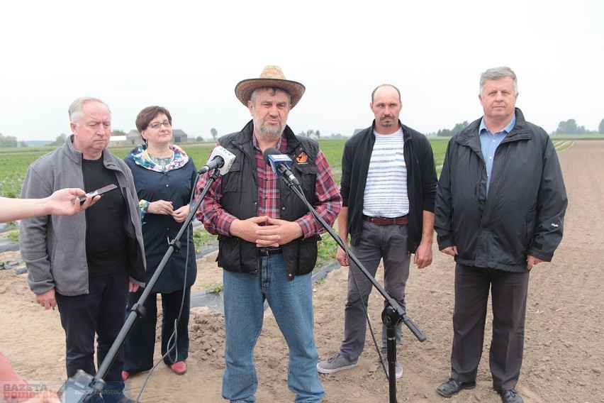 W powiecie lipnowskim minister rolnictwa dał przykład nauczycielom, jak zbierać truskawki [zdjęcia, wideo] 