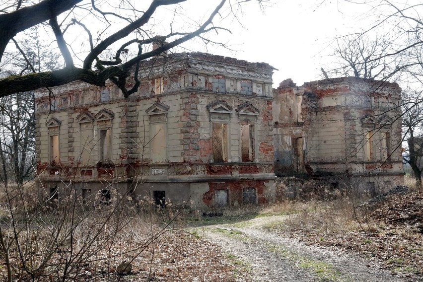 Willa Włoska w Legnicy. Śmietnisko części samochodowych, zobaczcie zdjęcia