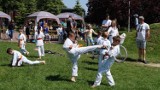 Rodzinny piknik na Promenadzie Niemena ZDJĘCIA. Prezentowały się częstochowskie Podmioty Ekonomii Społecznej