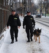 Pies Belit pomógł policjantom z Jarosławia