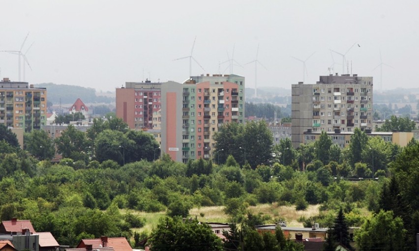 Legnica widziana z dziesiątego piętra bloku na ulicy Wielkiej Niedźwiedzicy [ZDJĘCIA] 