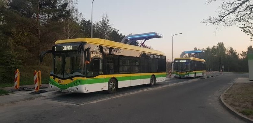 Dziś po Zielonej Górze jeżdżą 43 elektryczne autobusy.