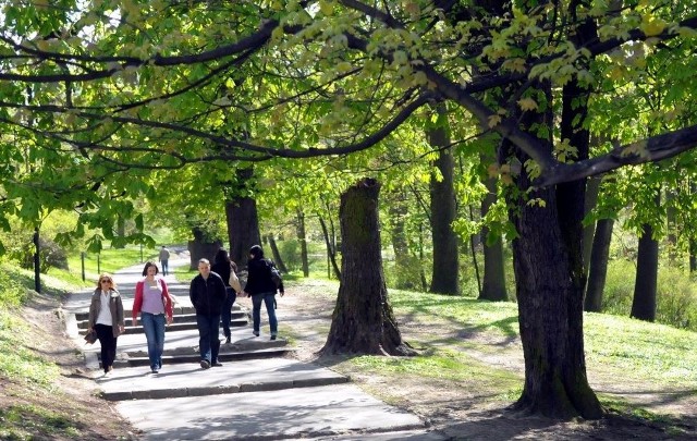 W latach 2014- 2020 najwięcej pieniędzy będzie kierowanych m.in. na ochronę środowiska