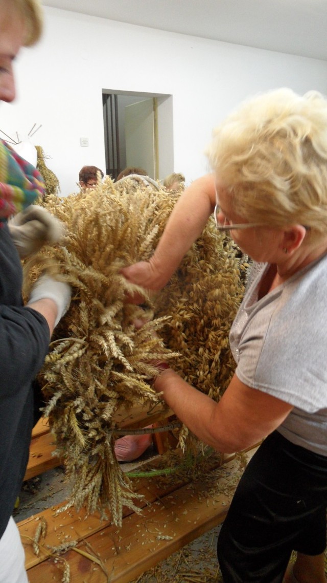 Korona dożynkowa w Czułowie. Czas przygotowań