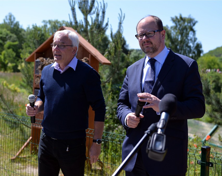 Gdańskie lwy zapolują na zebrę i żyrafę. W piątek - tego nie można przegapić! [FOTO, WIDEO]