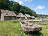 Pomysł na weekendowy wypad. Odwiedź Karpacką Troję w Trzcinicy, jeden z największych skansenów w Europie [ZDJĘCIA]