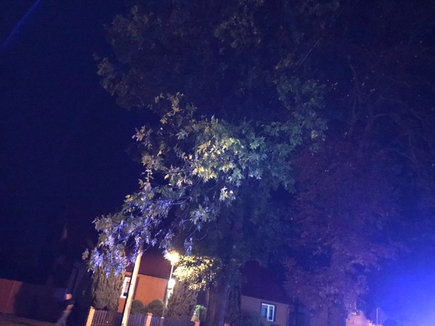 Powiat chodzieski: Silny wiatr łamał gałęzie i przewracał drzewa. Musieli interweniować strażacy [FOTO]