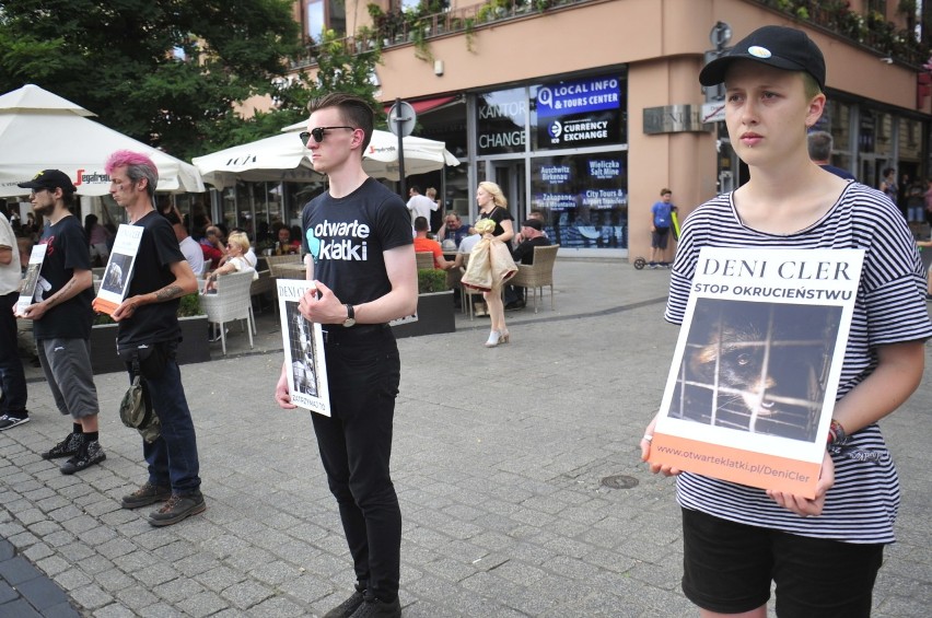 Kraków. Protest przeciwko hodowaniu zwierząt na futra