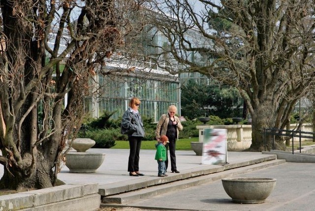 W Poznaniu nie brakuje terenów zielonych. W weekend można wybrać się na rodzinny spacer