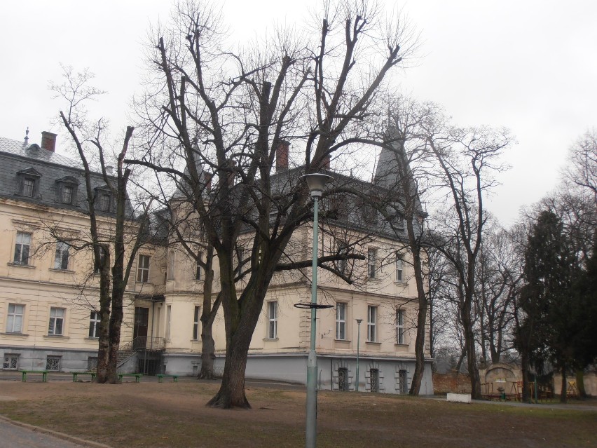 Trzebiechów - wieś, siedziba gminy, położona w południowo...