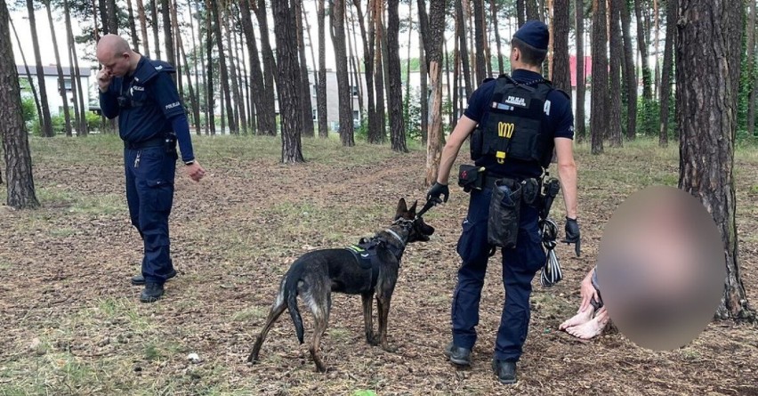 Kalety. Pies pomógł w odnalezieniu zaginionego, chorego psychicznie 44-letniego mężczyzny w lesie