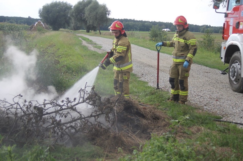 Strażacy po raz kolejny walczyli z pożarem [ZDJĘCIA]  