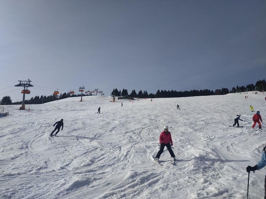 Wiosenna temperatura i środek tygodnia nie straszne narciarzom. W Zieleńcu tłumy