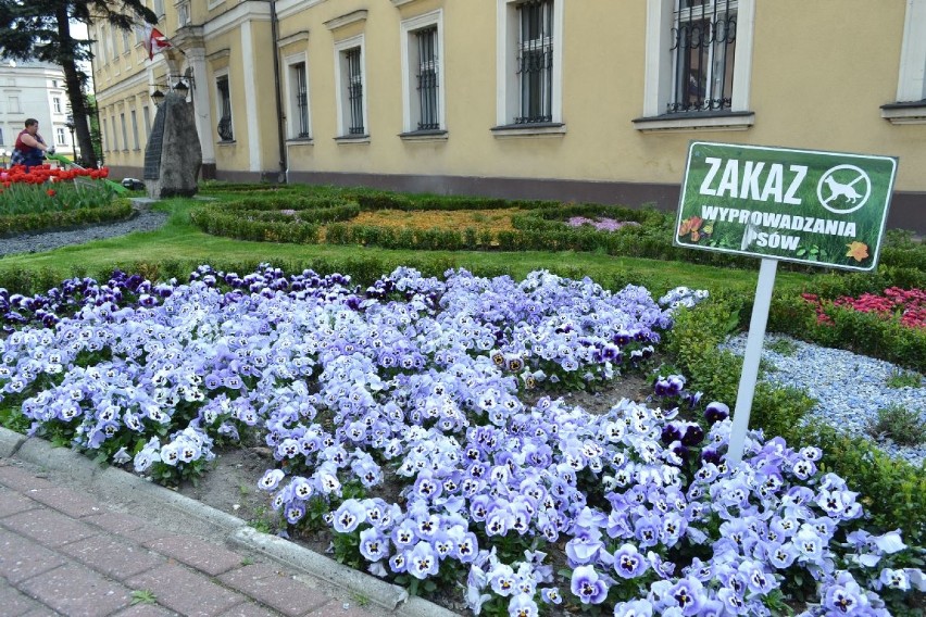 Kolorowo zrobiło się pod Muzeum

Gdzie jeszcze powinni...