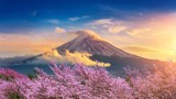 Obostrzenia COVID na świecie maj 2022. Japonia zacznie wpuszczać turystów od 10 czerwca