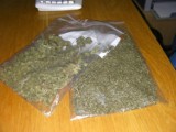 Ostrowska policja zatrzymała trzy osoby z marihuaną