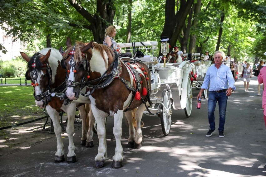 13.06.2019 krakow 
planty dorozki tymczasowy postoj upal...