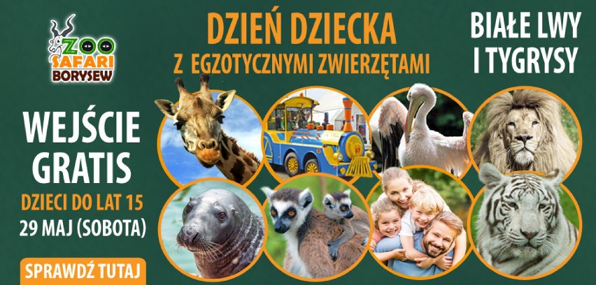 Dzień Dziecka z egzotycznymi zwierzętami w ZOO Safari w Borysewie. Pamiętasz jak tam jest fajnie? ZDJĘCIA