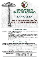 XVI Wystawa Grzybów Puszczy Białowieskiej. Prezentowane będą żywe okazy