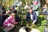 Święto Drzewa w Sosnowcu. Prezydent miasta i uczniowie szkół podstawowych sadzili drzewka owocowe w parku Harcerskim