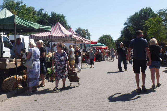 W czwartek 28 lipca na targowisku Korej w Radomiu panował spory ruch. Słoneczna pogoda zachęcała do wyjścia z domu. Radomski bazar cieszy się dużym powodzeniem. Jest tam zawsze większy wybór produktów niż w sklepie. Popularnością cieszyły się świeże owoce i warzywa. 

Zobaczcie kolejne zdjęcia >>>