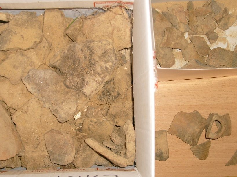 Koło. Wykopano fragmenty naczyń z okresu kultury łużyckiej