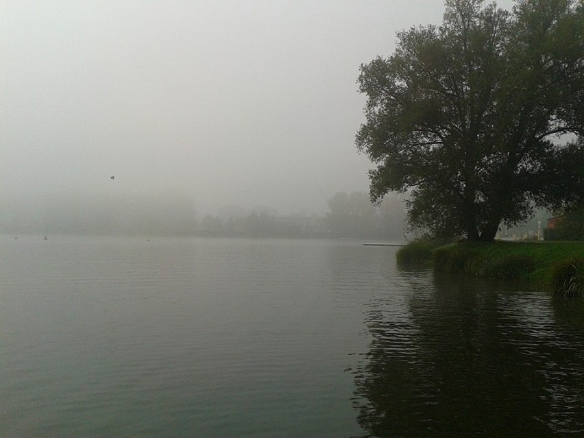 Mgła w Poznaniu, 20.09.2014 r.