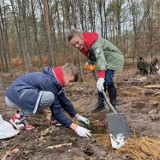 200 osób sadziło las w Nadleśnictwie Runowo. Razem z nimi Edyta Herbuś [zdjęcia]