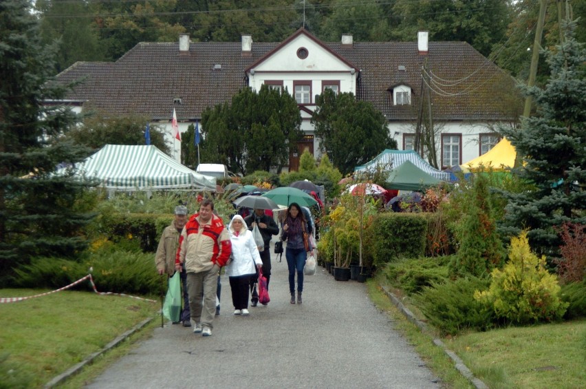 Targi ogrodnicze w Strzelinie 2012: Zobacz jak było na jesiennych targach [FOTO+FILM]