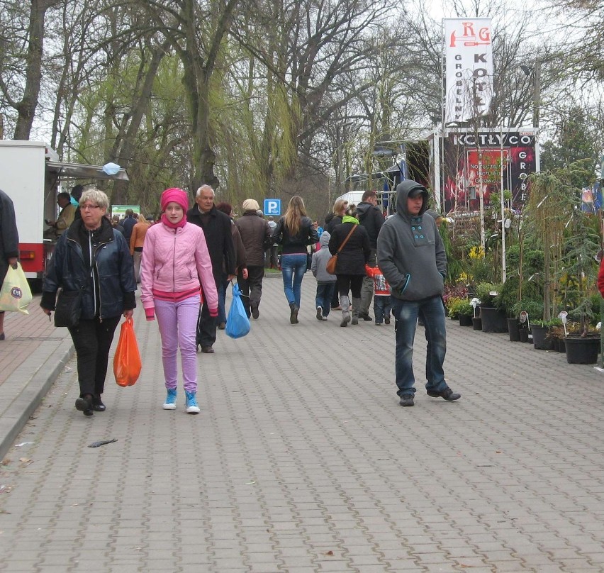 Stare Pole. Po IV Wiosennych Targach Ogrodniczych [ZDJĘCIA]