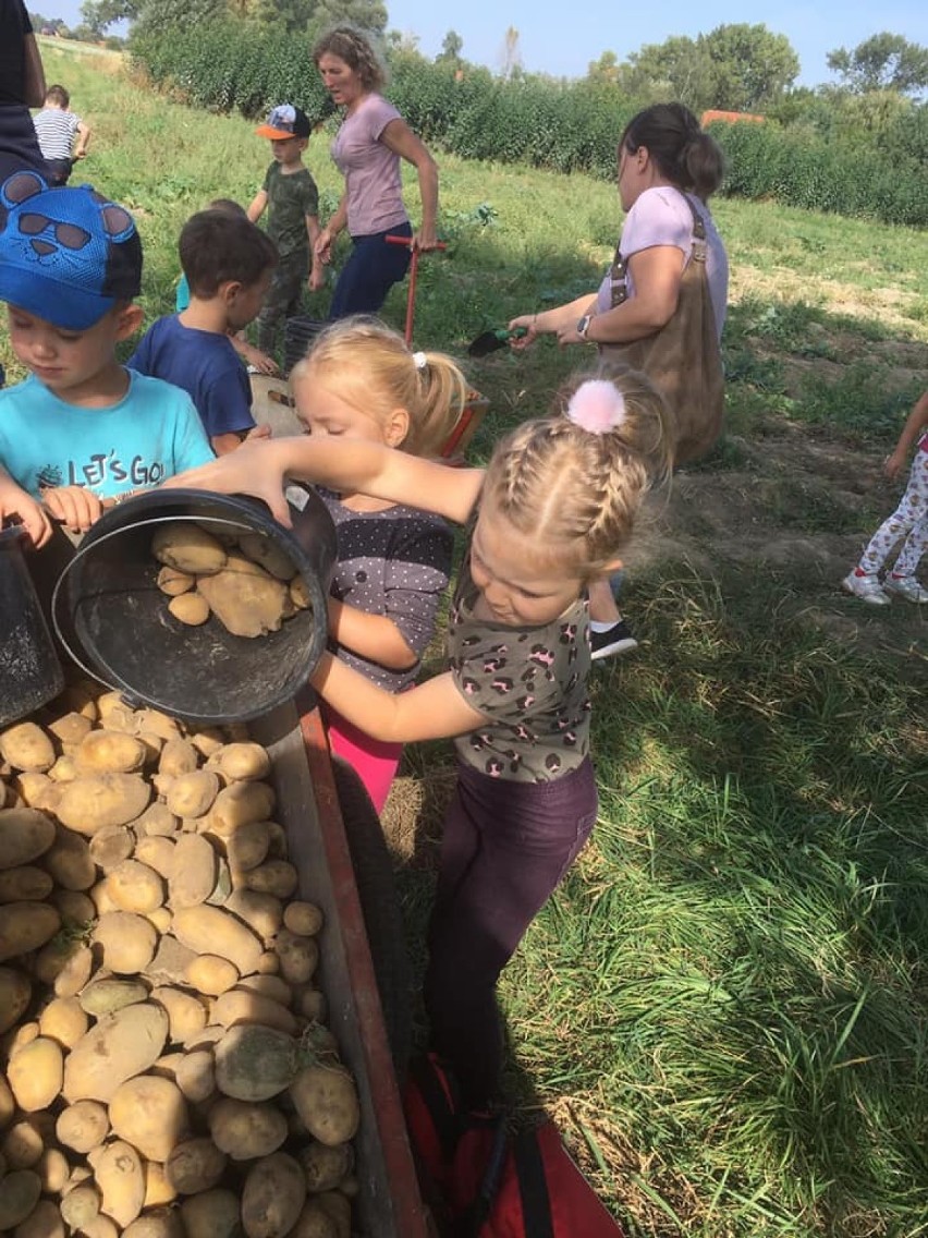 Fachowa opieka, pyszne obiadki także w czasie ferii czy wakacji