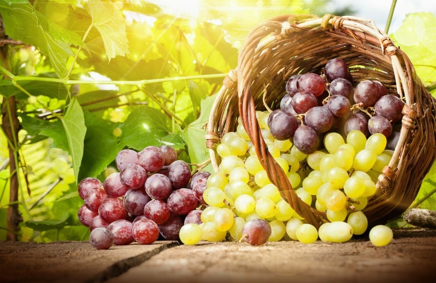 Jakie są skutki jedzenia winogron? Sprawdź!