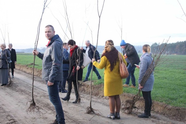 W gminie Książ Wlkp. posadzili niemal 200 drzewek miododajnych