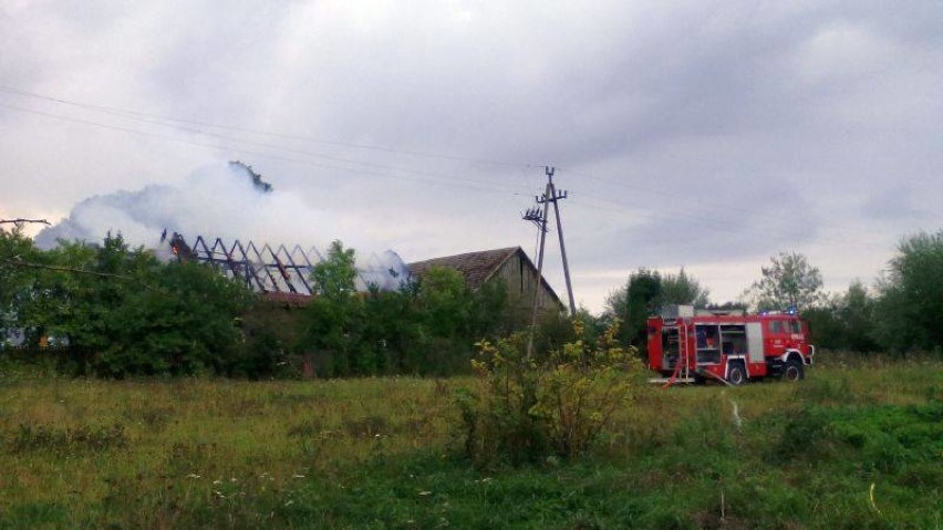 Pożar w miejscowości Dziubiele