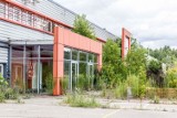 Galeria Kwadrat przegrywa z przyrodą. Pierwsza galeria handlowa w Białymstoku zarasta zielenią (zdjęcia)