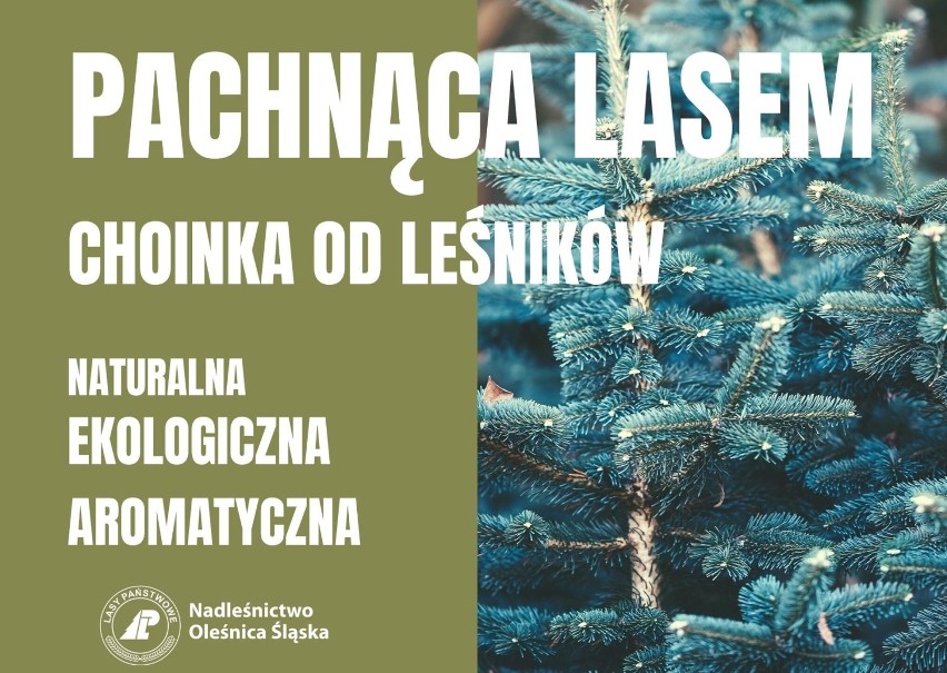 Za drzewko o wysokości od 1 do 2,5 m trzeba zapłacić od ok....