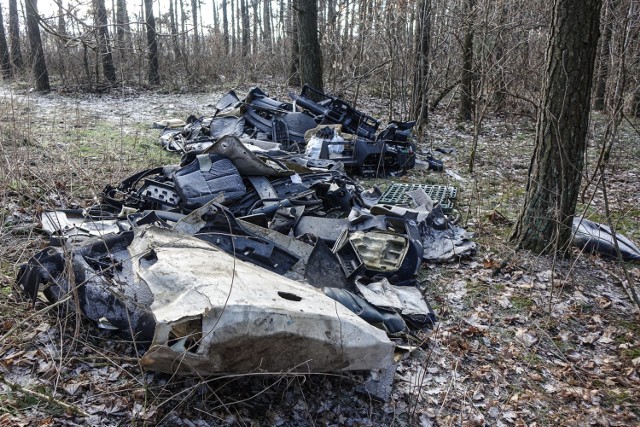 W Nadleśnictwie Lutówko ktoś wyrzucił śmieci - elementy rozbiórek samochodowych. Wspólnie z chojnicką policją straż leśna znalazła i ukarała sprawców