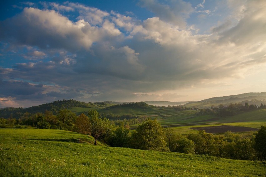 Za najdzikszy region Polski uchodzą Bieszczady, ale ich...