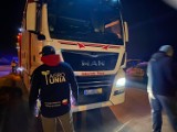 Mościszki: transport świń z zagranicy pod lupą Agro Unii. Lekarz Weterynarii na kontroli. Czy zwierzęta są "legalne"?