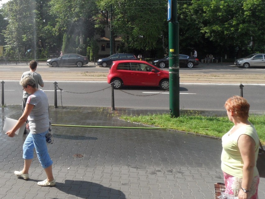 Kurtyny wodne stanęły w Sosnowcu. Fontanny też działają [ZDJĘCIA]