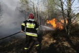 Wyrzucił śmieci na polnej drodze i... zrobił z nich ognisko. Dostał kilkaset złotych mandatu 