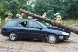 Ratowali rannych w wypadkach - manewry strażackie OSP w Brześciu Kujawskim. Zdjęcia, wideo 