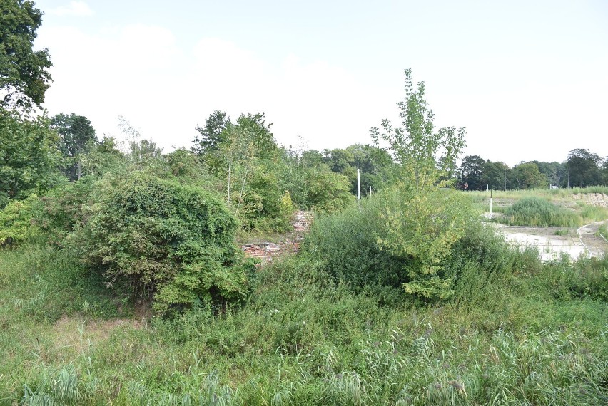 Malbork. Plac zabaw nad Nogatem czeka na dokończenie. Jeszcze w sierpniu magistrat ogłosi przetarg na nowego wykonawcę