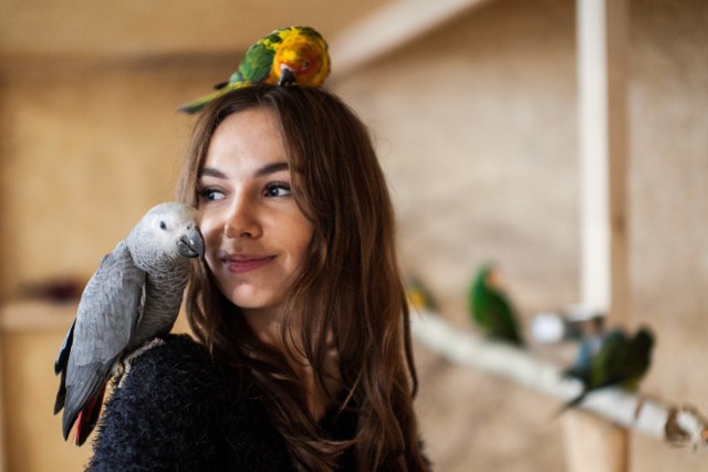 Zwierzęta z bydgoskiej papugarni potrzebują żywności, by przetrwać epidemię koronawirusa. Potrzebna jest pomoc! Na zdjęciu pani Karolina Polec z papugami.