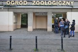 W Starym Zoo w Poznaniu będą kręcone sceny do turecko-polsko-niemieckiego filmu fabularnego "Lampart z Ankary". Będzie casting!