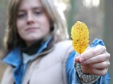 Domowe sposoby na jesienną chandrę